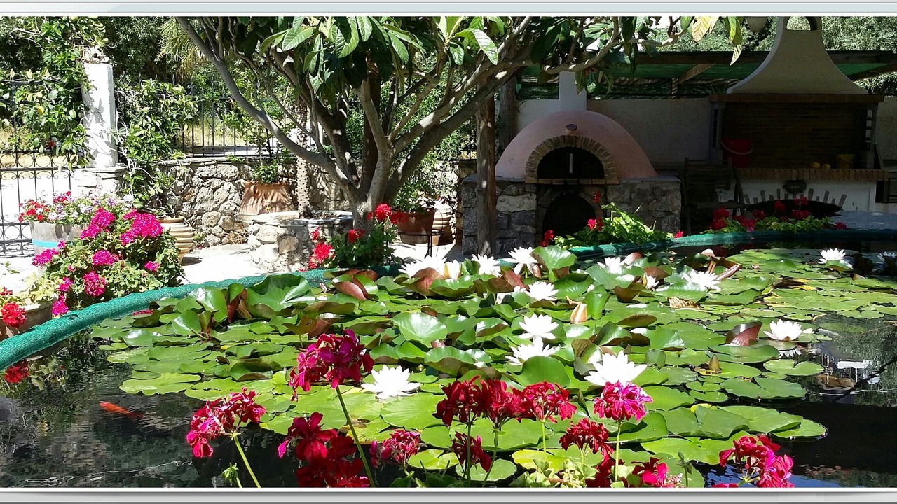 Photo of Outdoor in Palaiochora