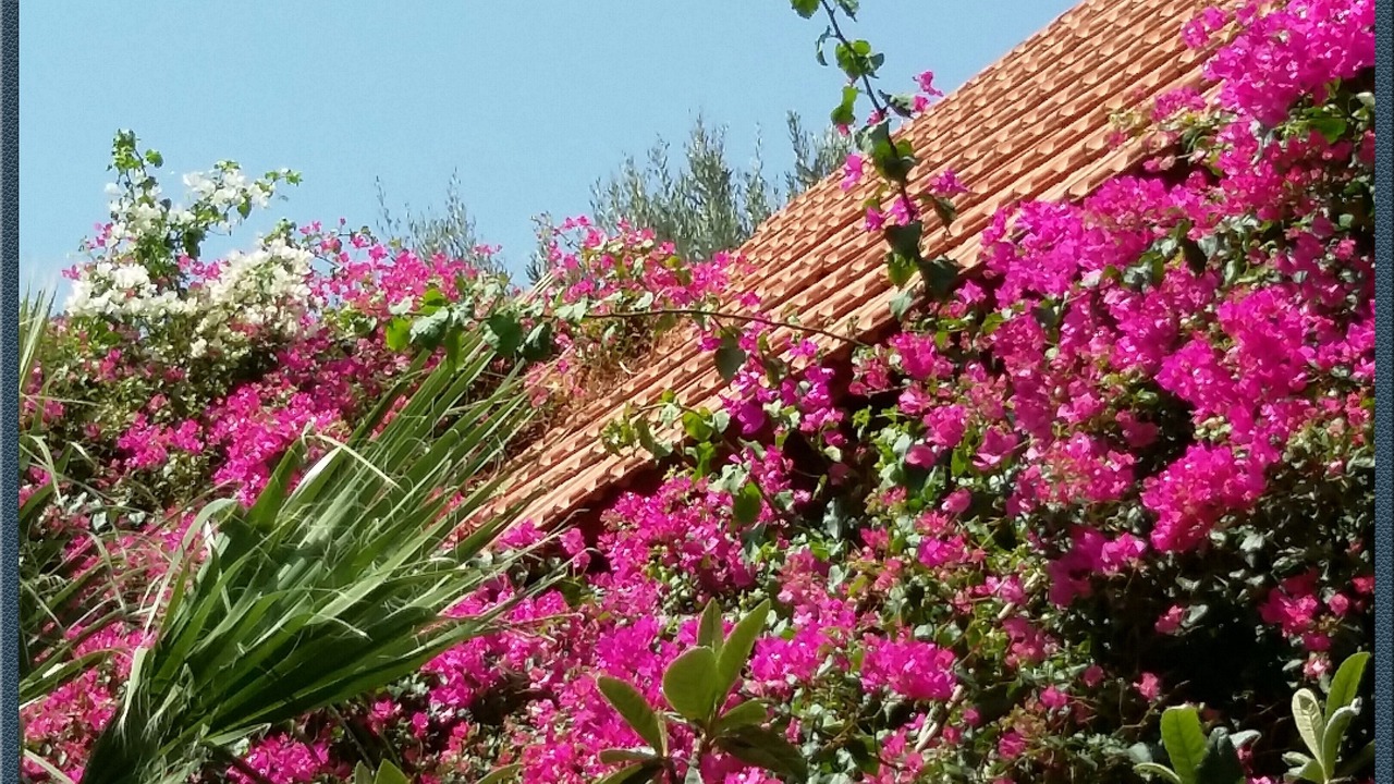 Photo of Outdoor in Palaiochora