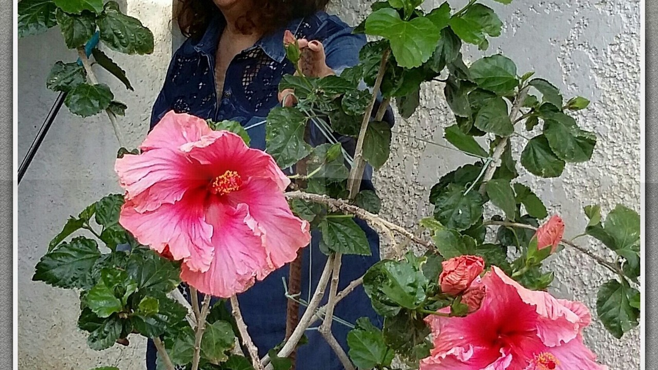 Photo of Others in Palaiochora