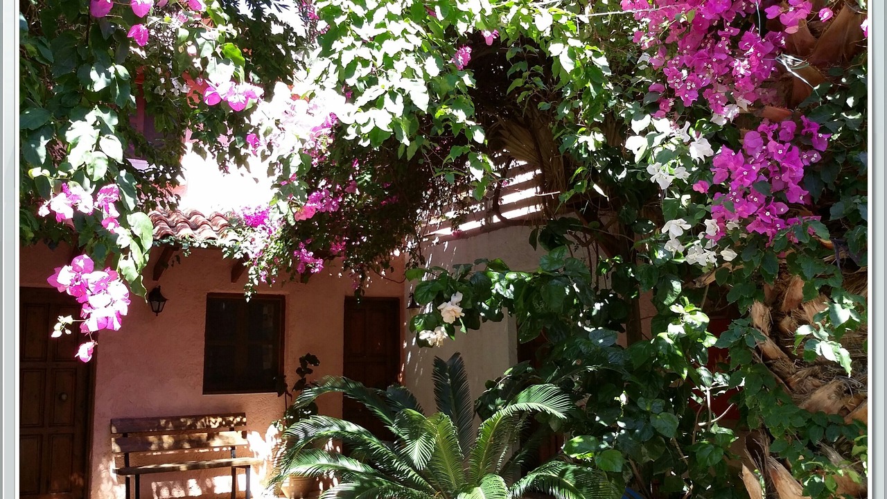 Photo of Outdoor in Palaiochora