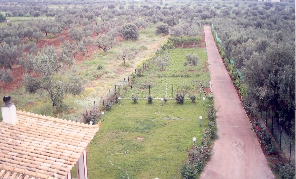 Photo of Outdoor in Chalcis