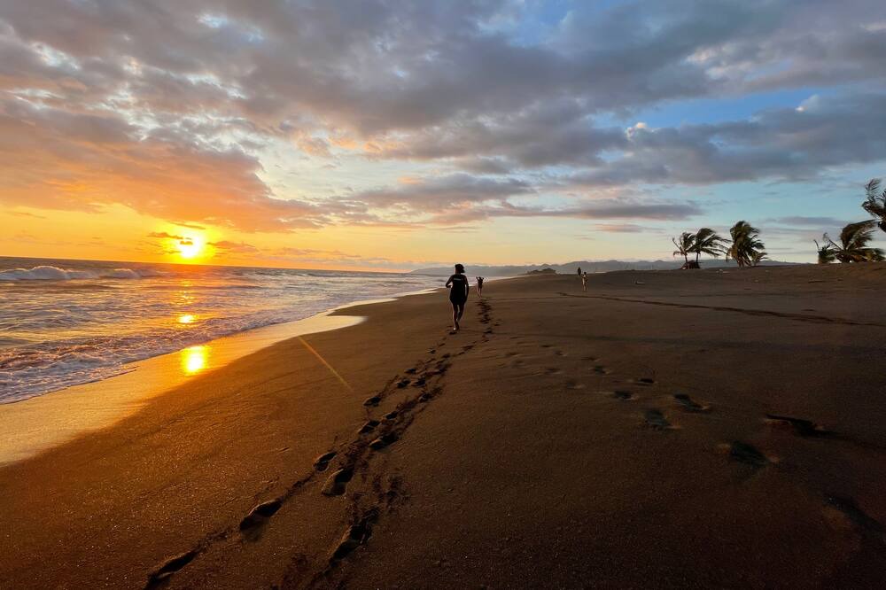 Photo of Others in Puerto Jimenez