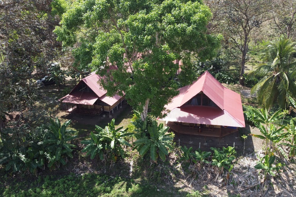 Photo of Outdoor in Puerto Jimenez