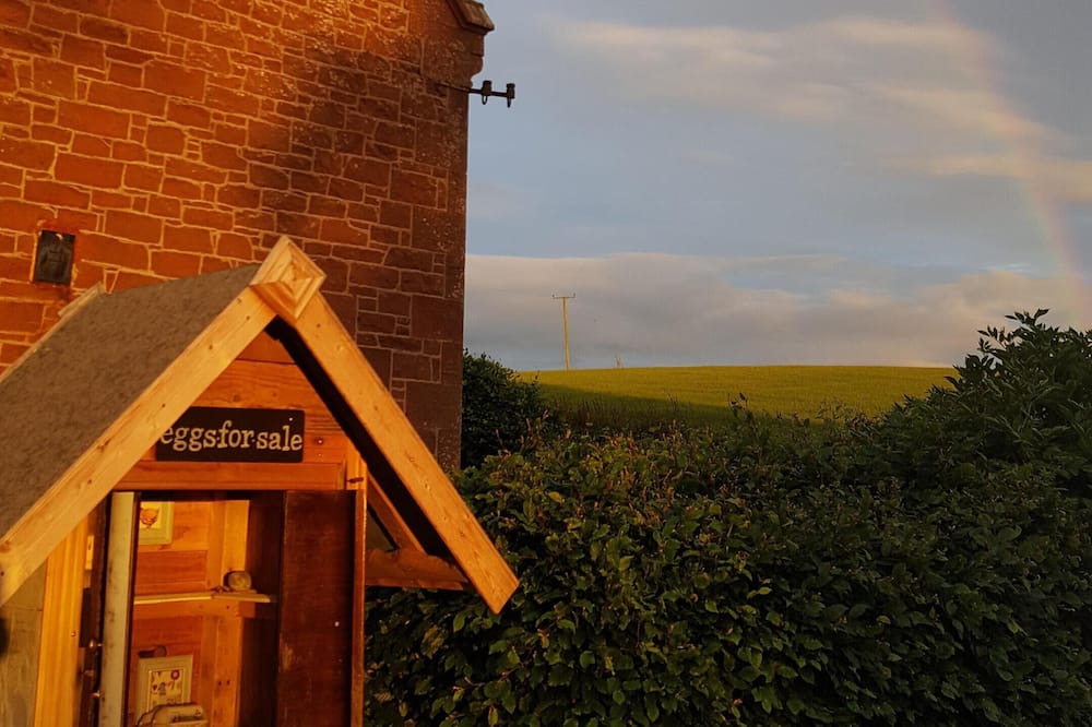 Photo of Outdoor in Dunbar