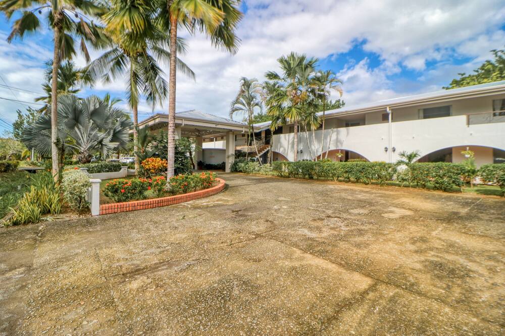 Photo of Others in Damas