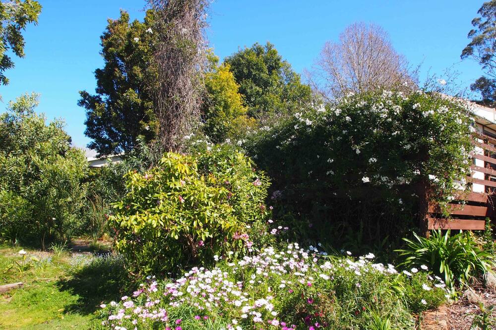 Photo of Outdoor in Beauty Point
