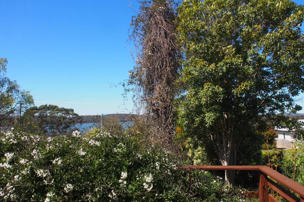 Photo of Outdoor in Beauty Point