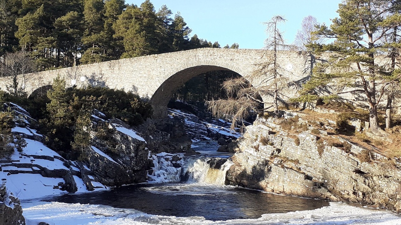 Photo of Others in Strathpeffer
