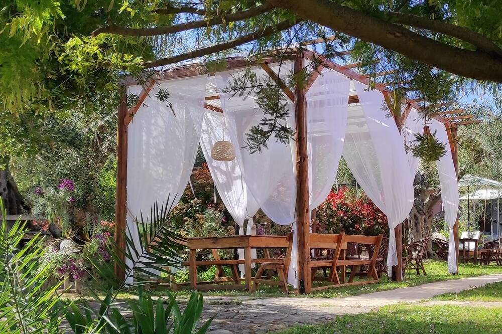 Photo of Outdoor in Petriti