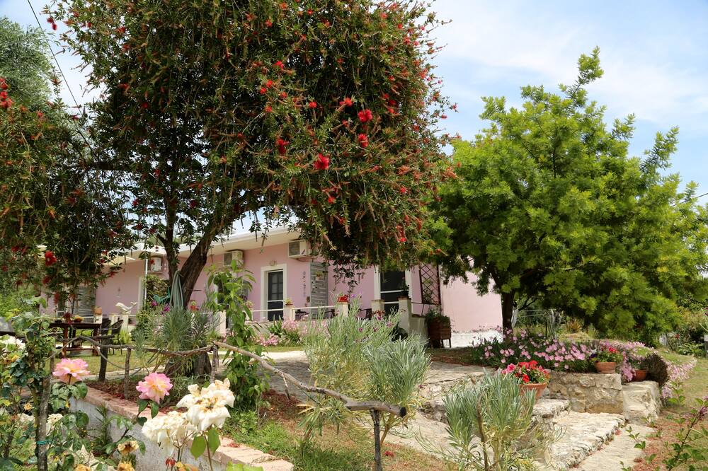 Photo of Outdoor in Petriti