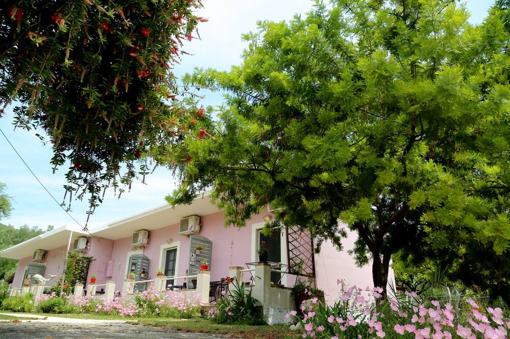 Photo of Outdoor in Petriti