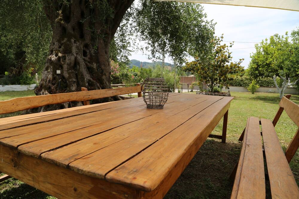 Photo of Outdoor in Petriti