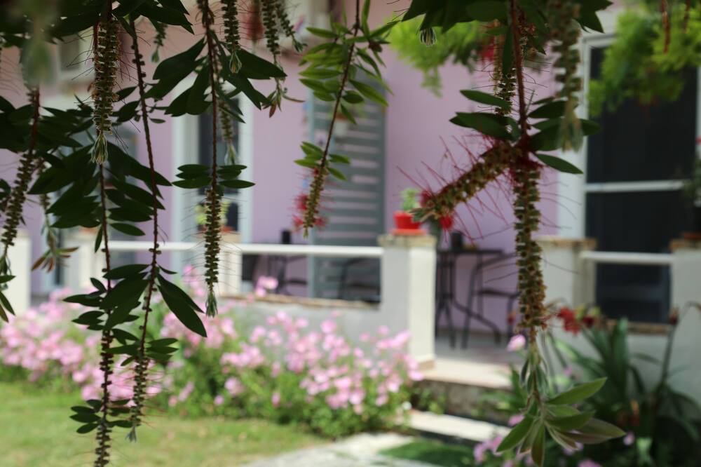 Photo of Outdoor in Petriti