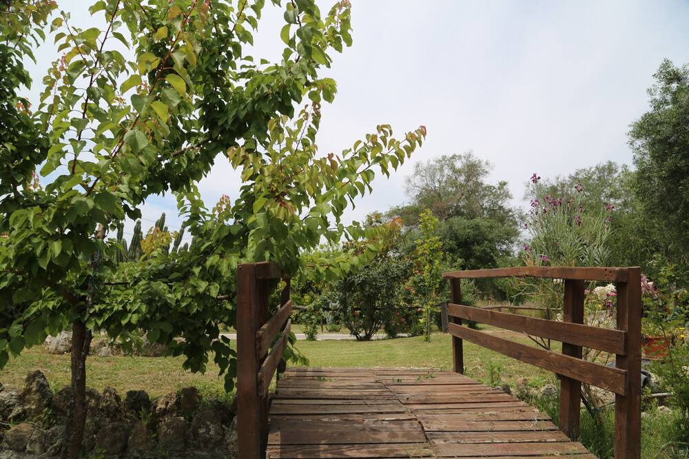 Photo of Outdoor in Petriti