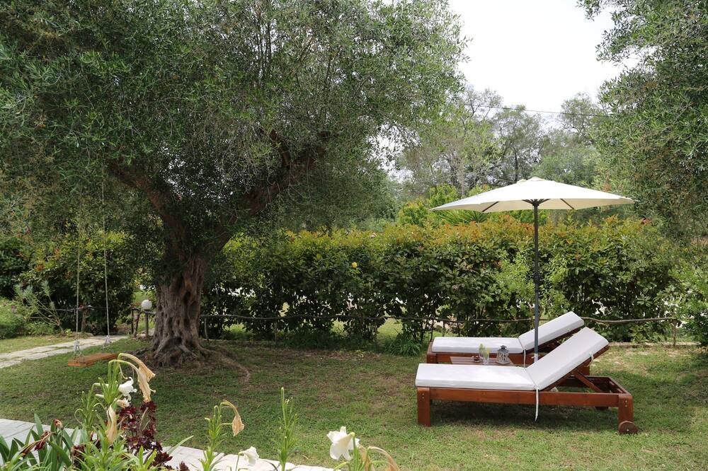 Photo of Outdoor in Petriti