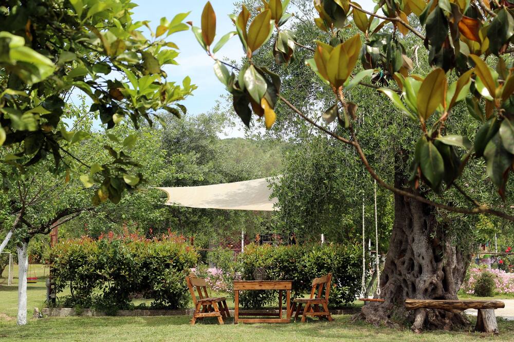 Photo of Outdoor in Petriti