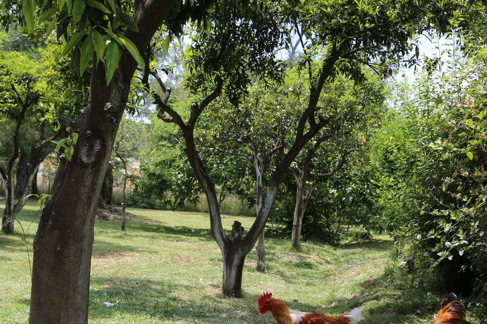 Photo of Outdoor in Petriti