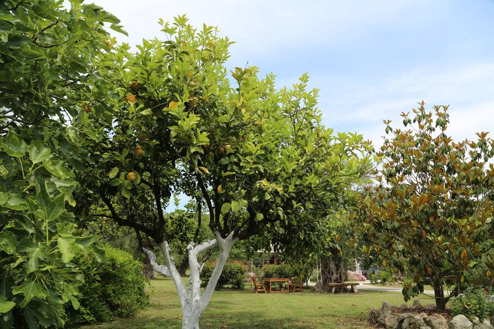 Photo of Outdoor in Petriti