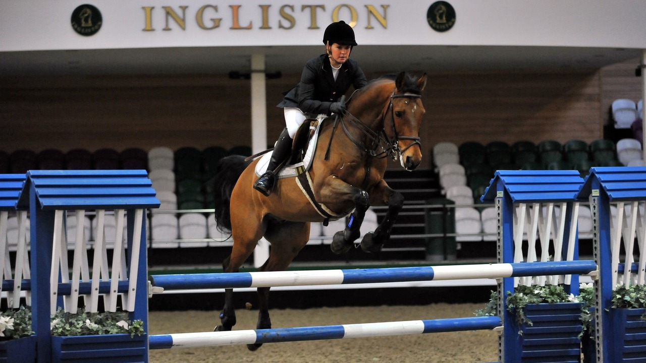 Photo of Others in Bishopton