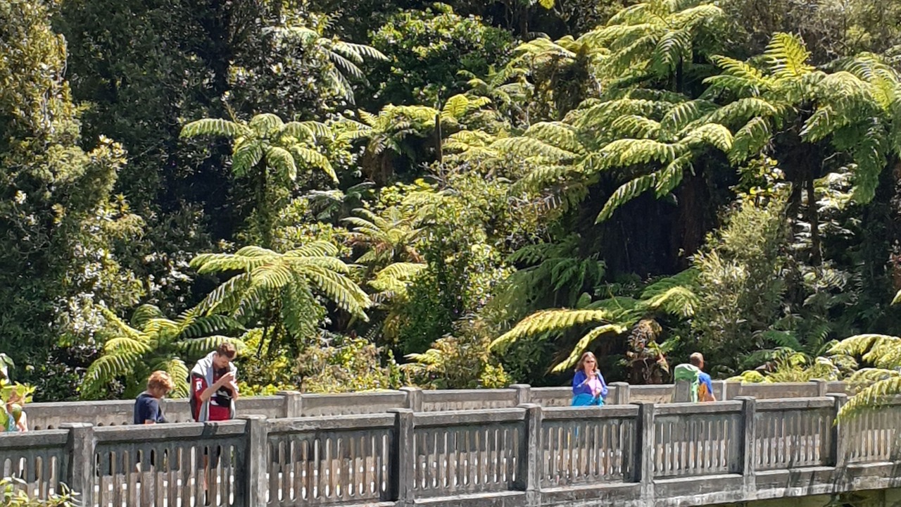 Photo of Others in National Park Village