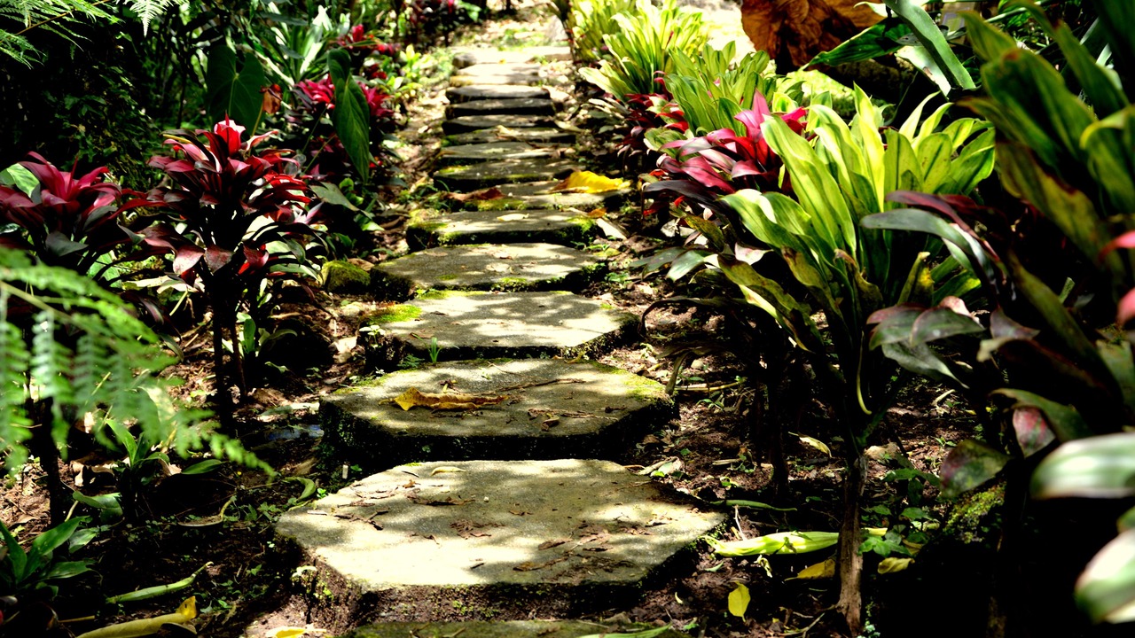 Photo of Outdoor in Santa Cruz de Turrialba