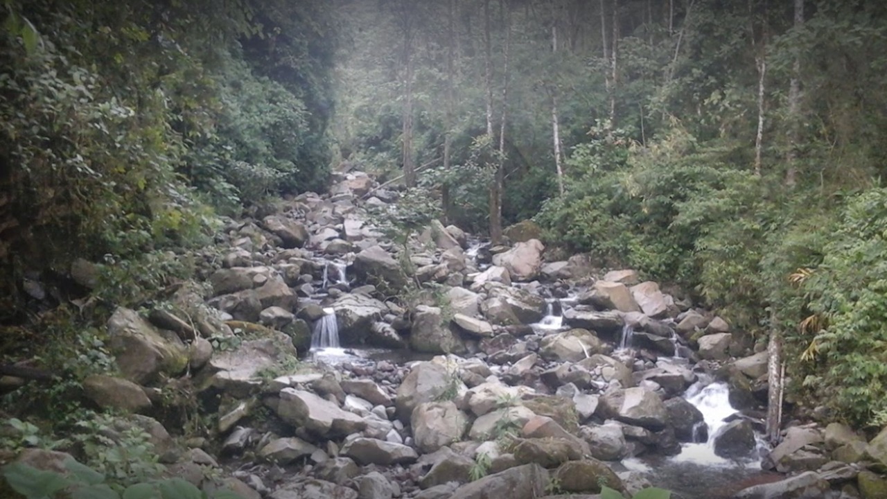 Photo of Others in Santa Cruz de Turrialba