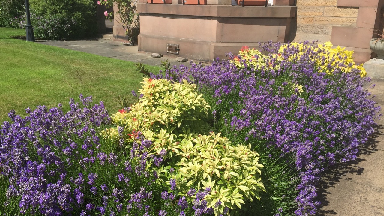 Photo of Outdoor in Newington