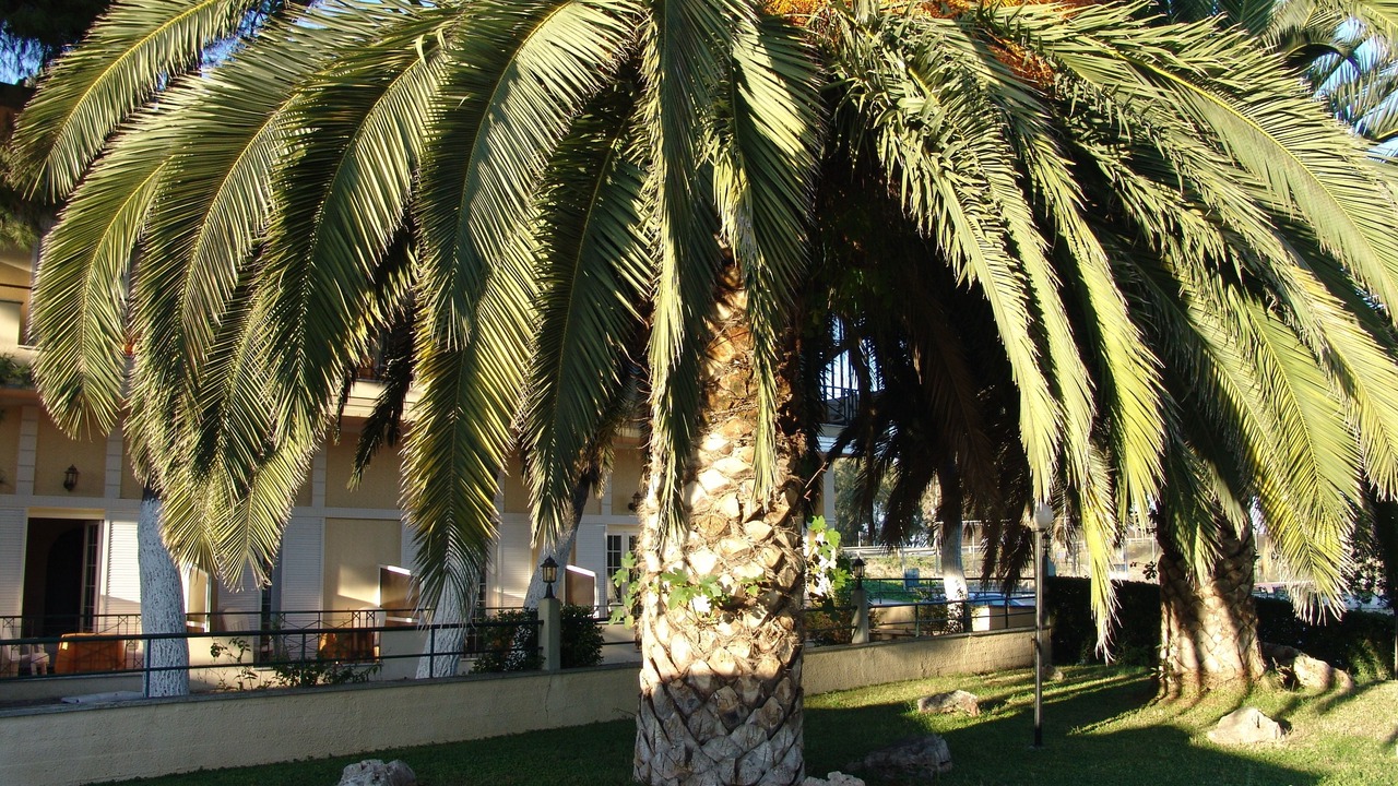 Photo of Outdoor in Nea Kios