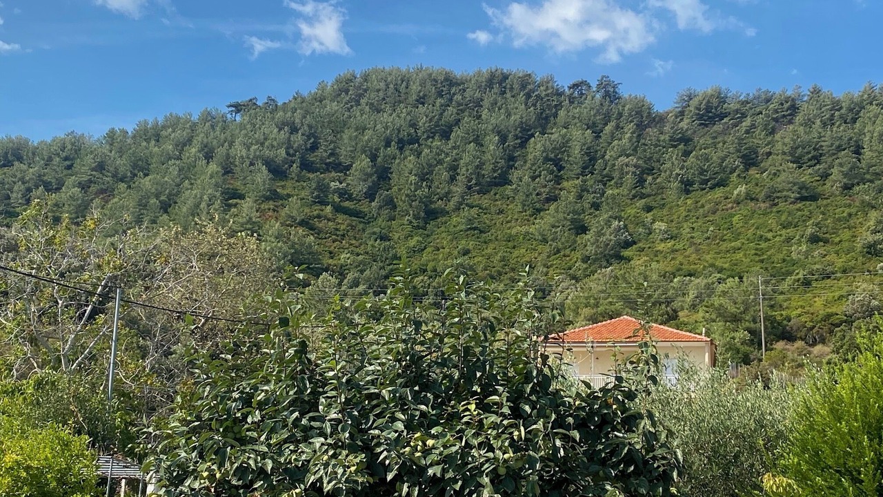 Photo of Bedroom in Kinyra