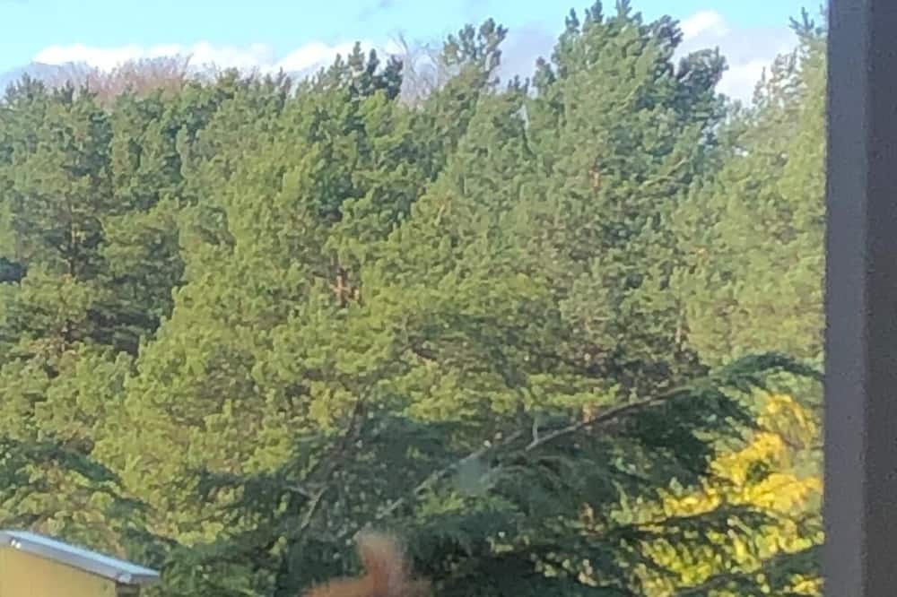 Photo of Others in Blair Atholl