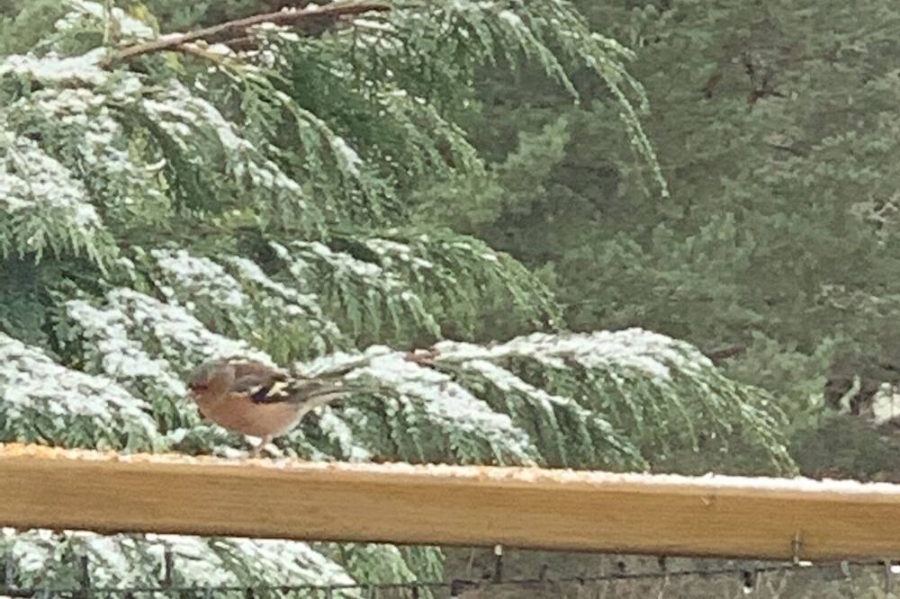 Photo of Others in Blair Atholl