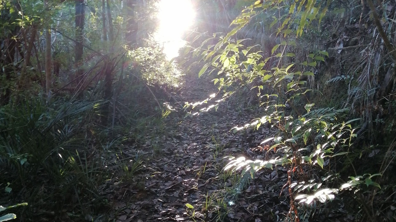 Photo of Outdoor in Te Arai