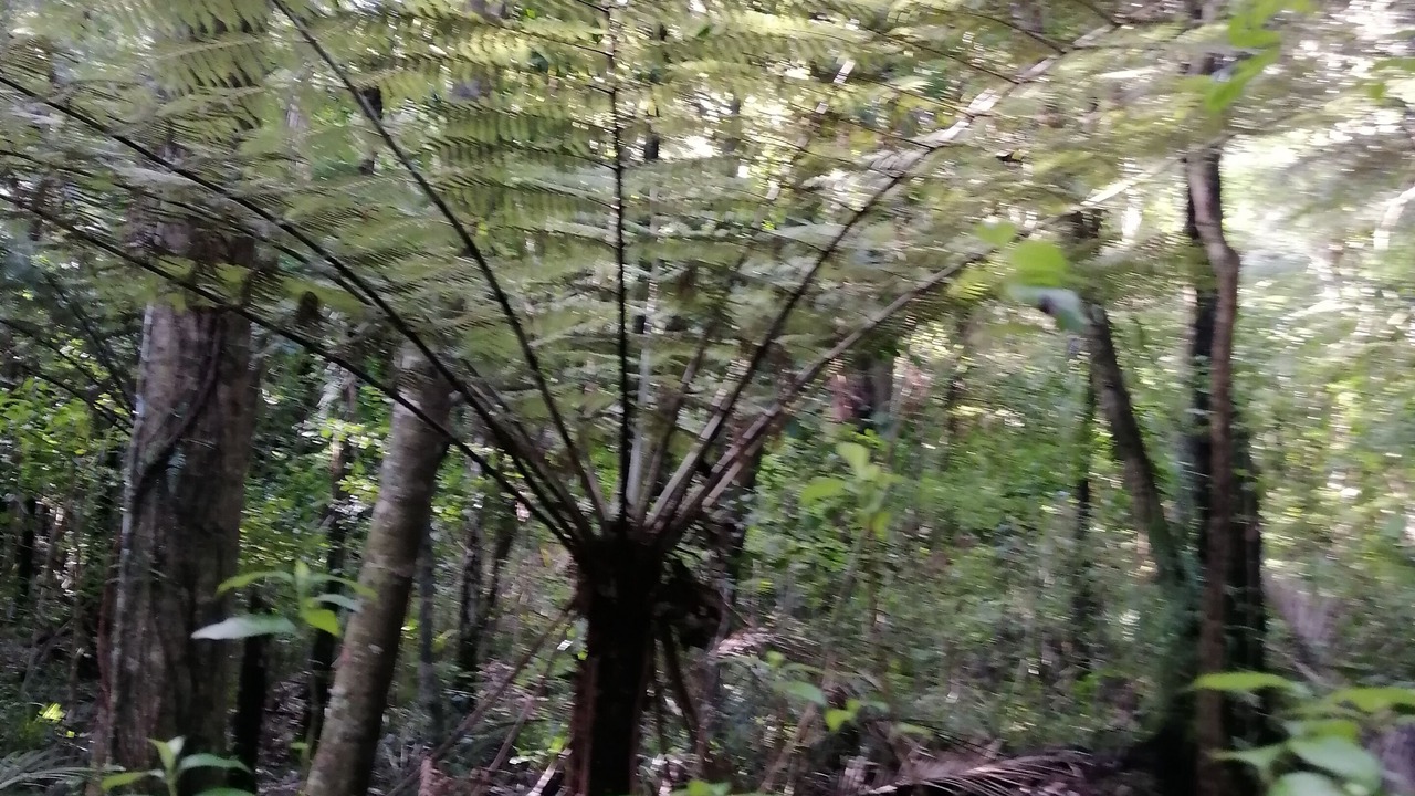 Photo of Outdoor in Te Arai