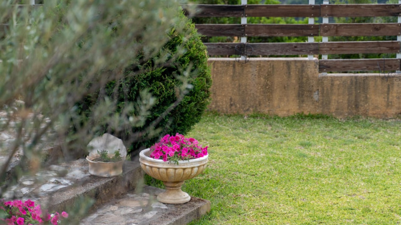 Photo of Outdoor in Archea Pissa
