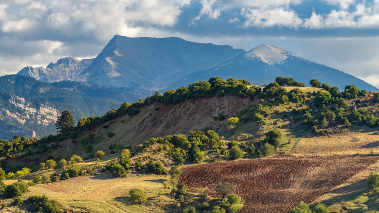 Photo of Outdoor in Archea Pissa