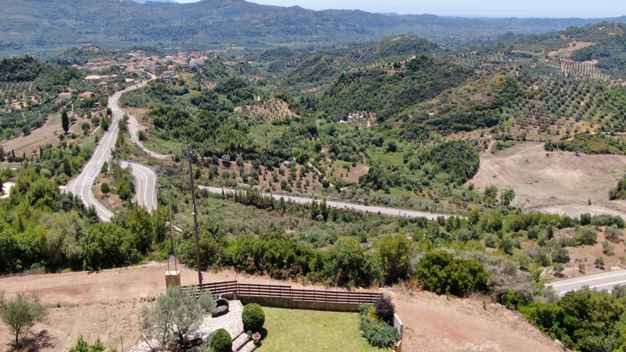 Photo of Others in Archea Pissa