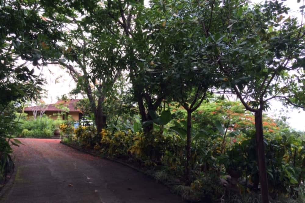 Photo of Outdoor in Tarcoles