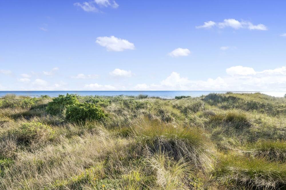 Photo of Others in Waitarere Beach