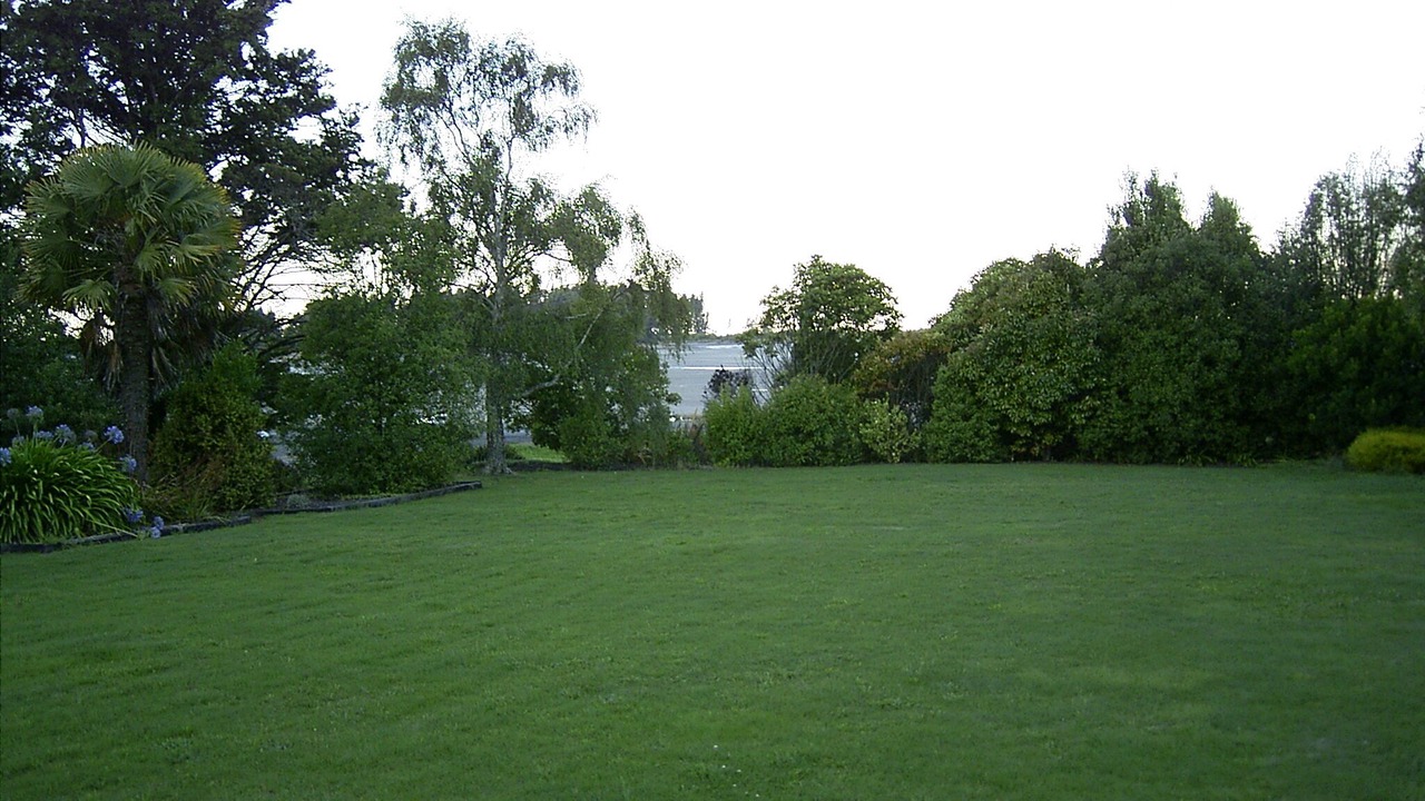 Photo of Outdoor in Tasman
