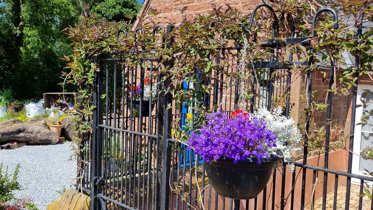 Photo of Outdoor in Dunbar