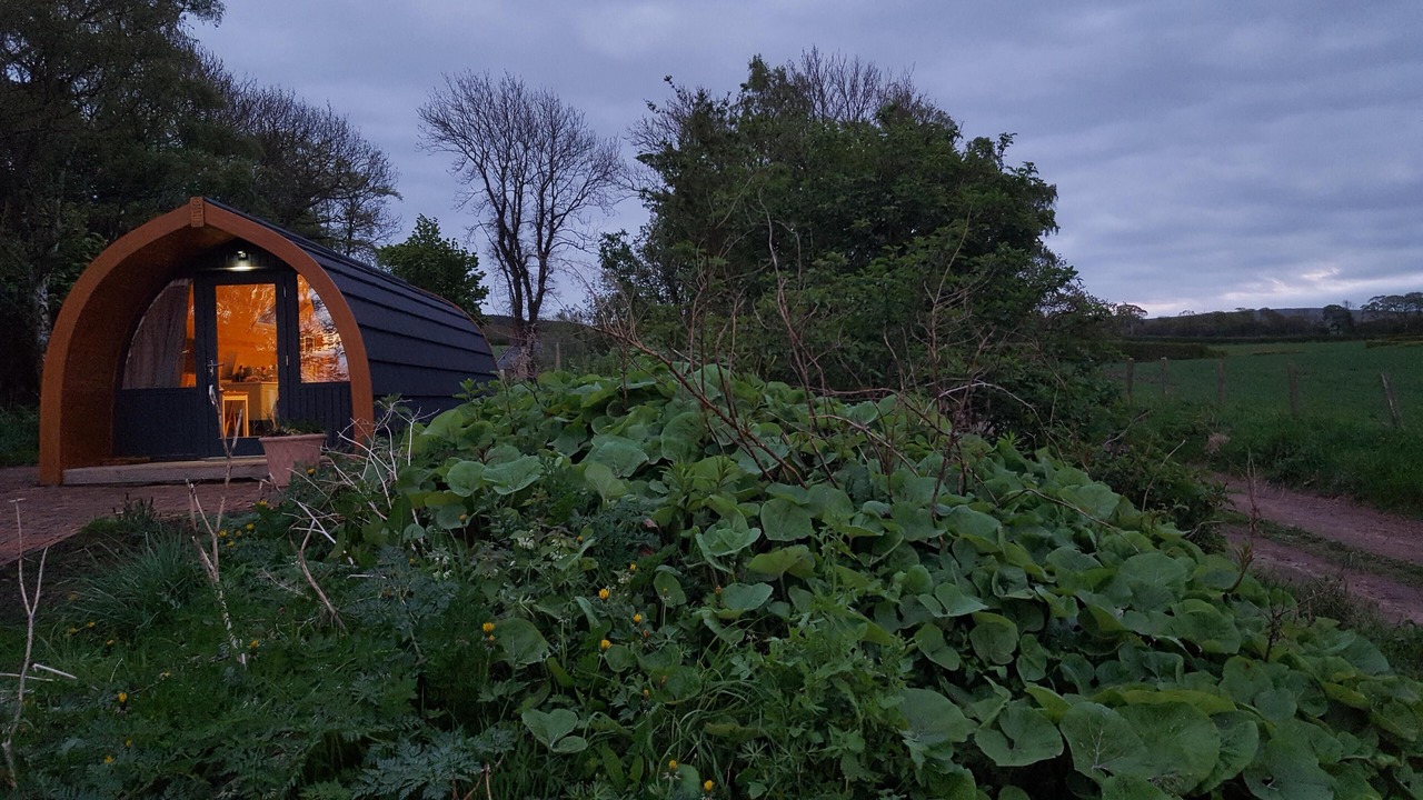 Photo of Outdoor in Dunbar
