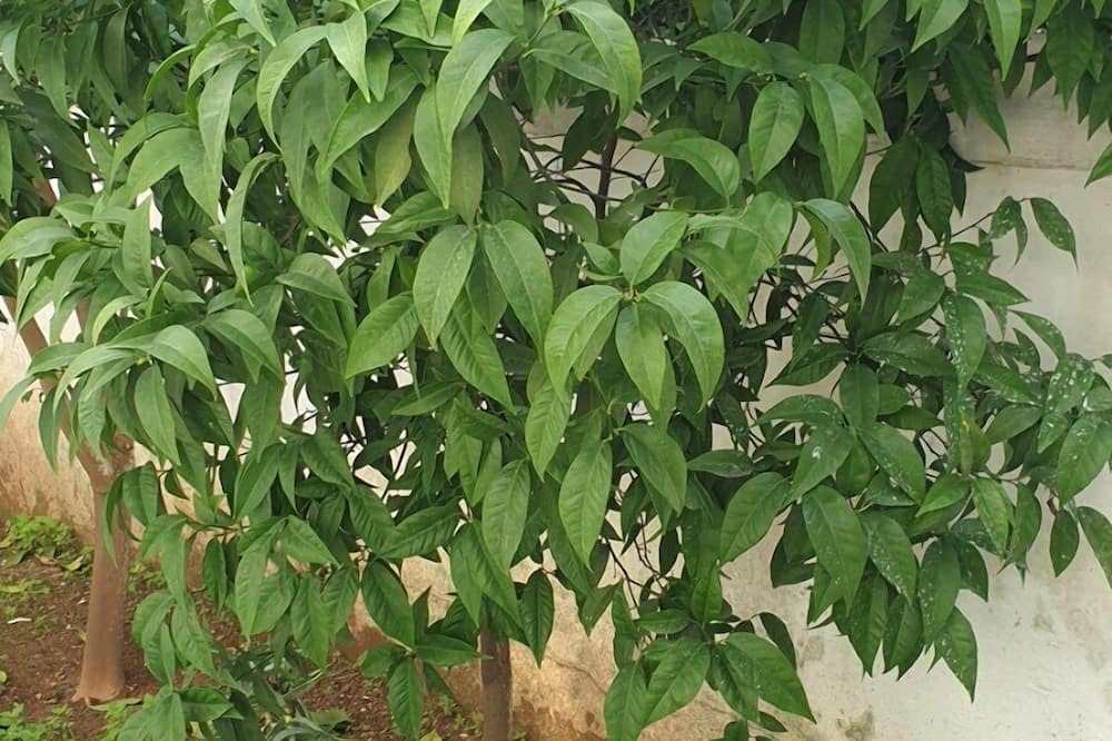 Photo of Outdoor in Kallithea