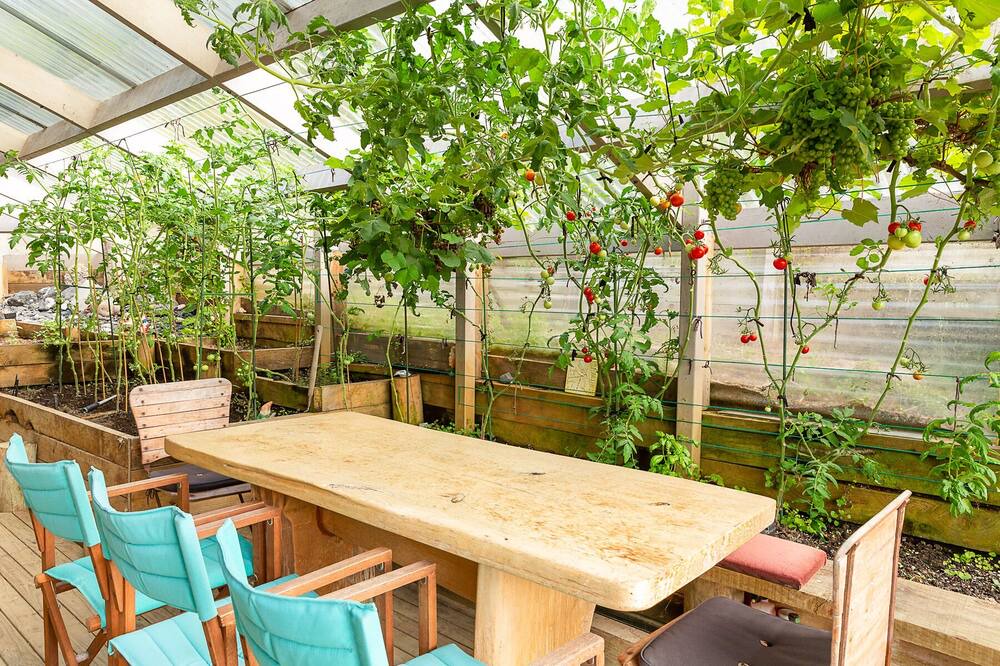 Photo of Patio Balcony in Matapouri