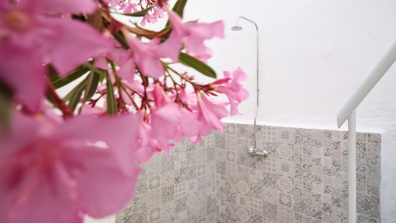 Photo of Bathroom in Psathi