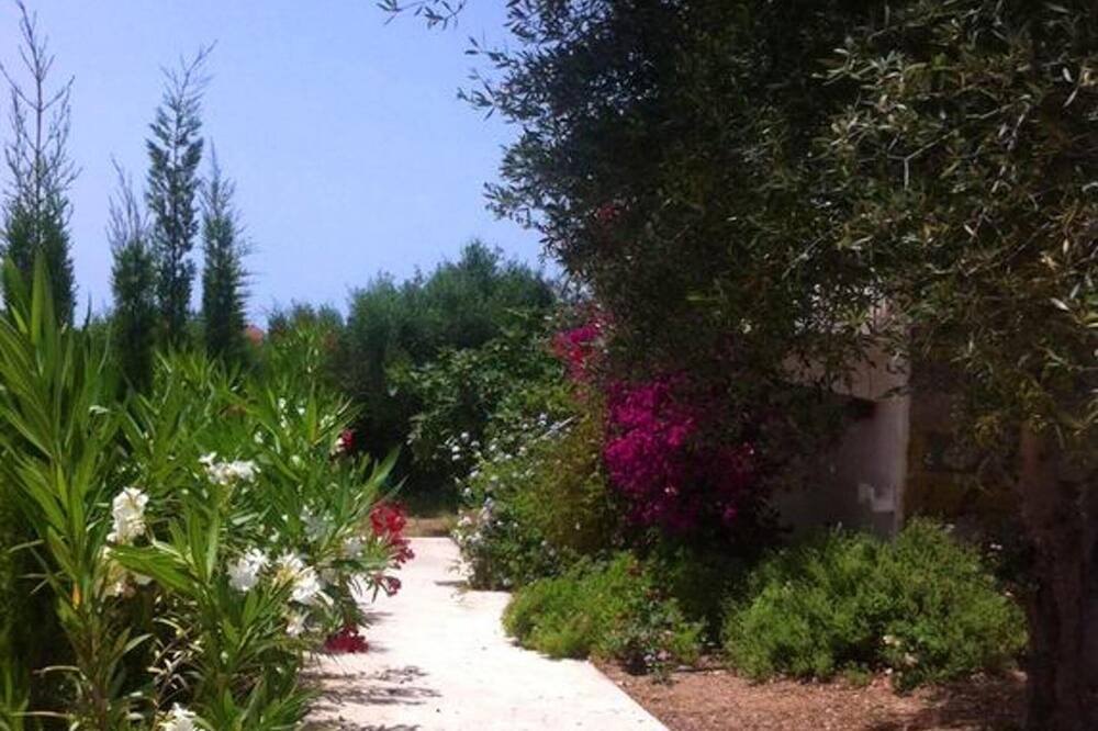 Photo of Outdoor in Lepreo