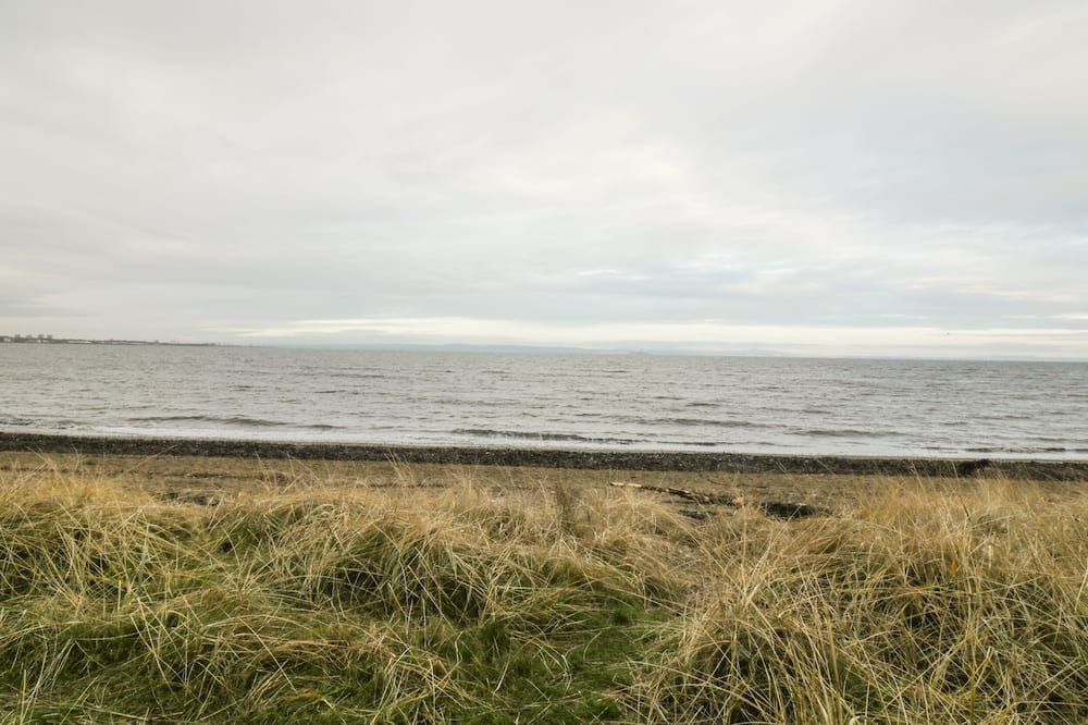 Photo of Others in Fisherrow