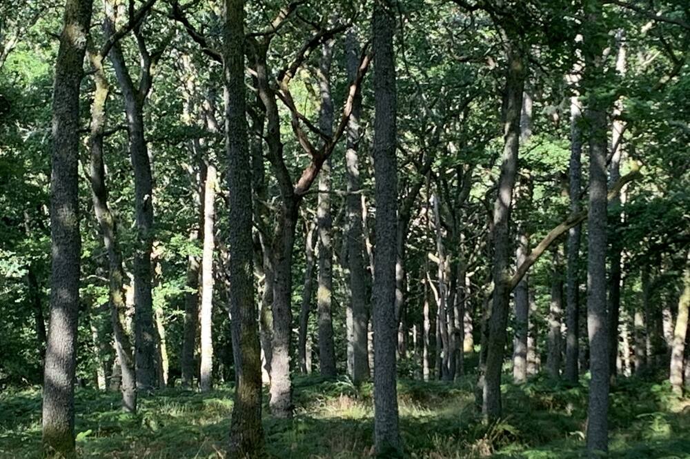 Photo of Outdoor in Pitlochry