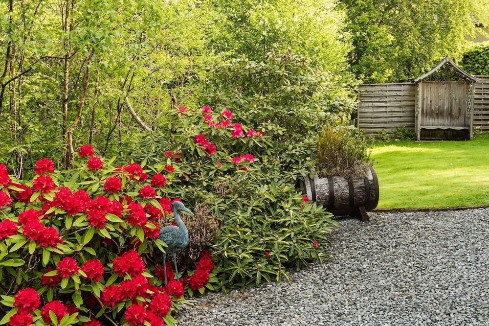 Photo of Outdoor in Pitlochry