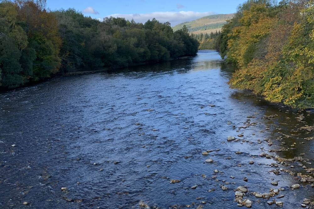 Photo of Others in Pitlochry