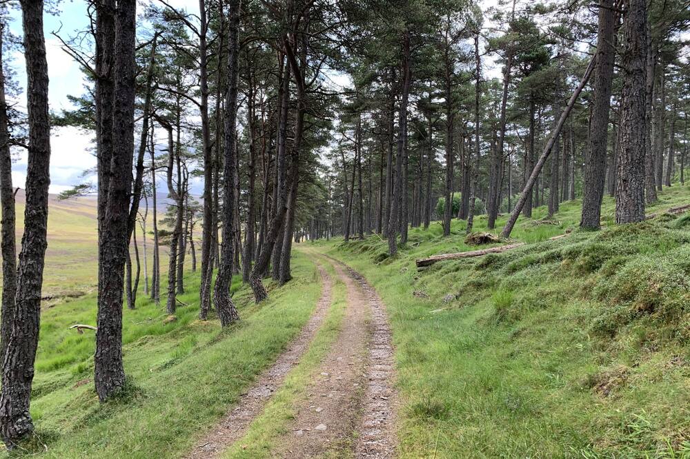 Photo of Outdoor in Pitlochry